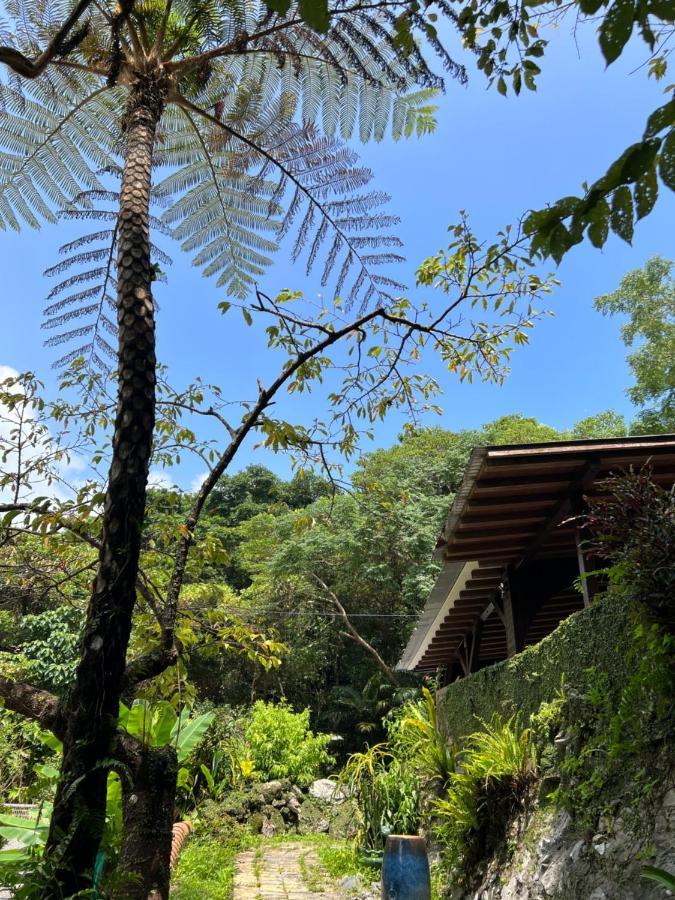 Yama'Oto - Nature Luxury Stay Motobu Exterior photo