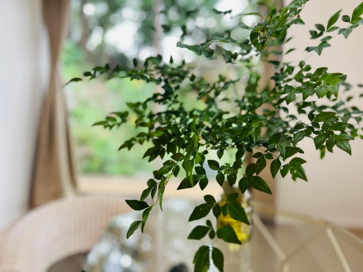 Yama'Oto - Nature Luxury Stay Motobu Exterior photo