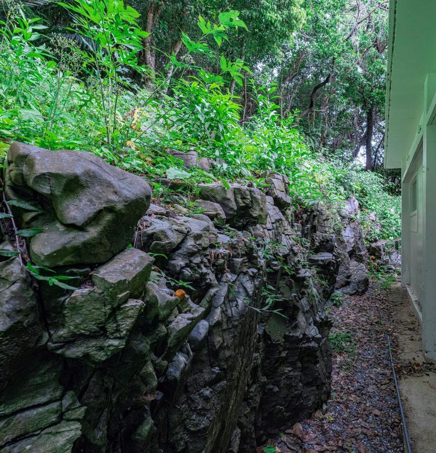 Yama'Oto - Nature Luxury Stay Motobu Exterior photo
