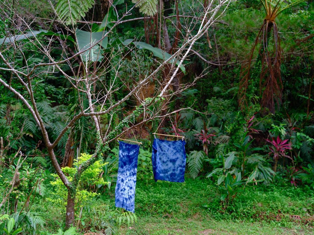 Yama'Oto - Nature Luxury Stay Motobu Exterior photo